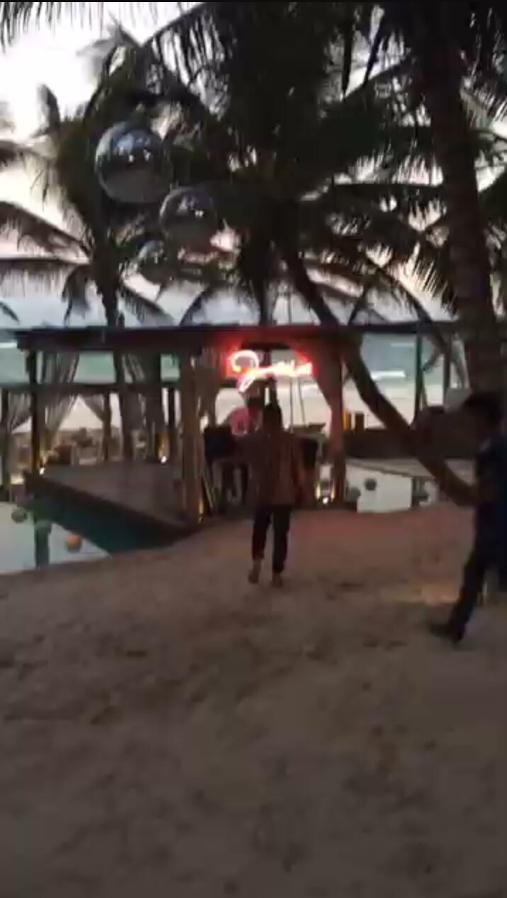 Beach bar with disco balls in the palms
